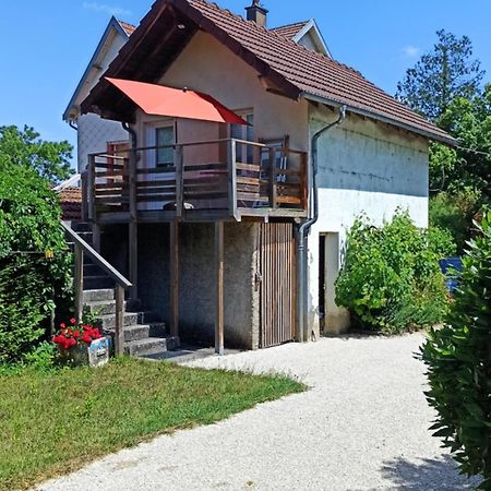 Une Tiny House A Decouvrir Au Coeur De La Cite ! コントレクセヴィル エクステリア 写真